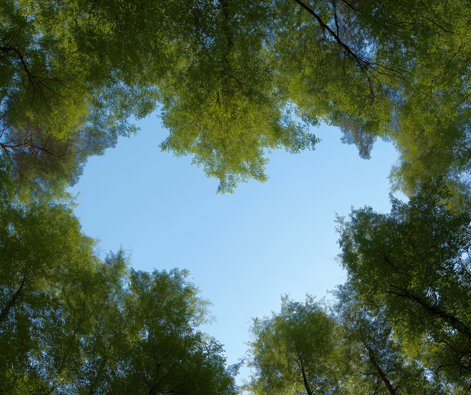 The Heart and Minds Model of fostering support